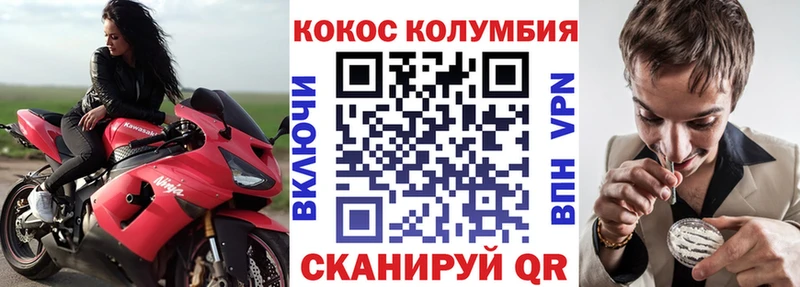 купить наркоту  Павловская  Cocaine Эквадор 