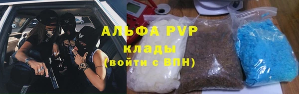 шишки Алексин