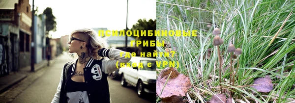 шишки Алексин