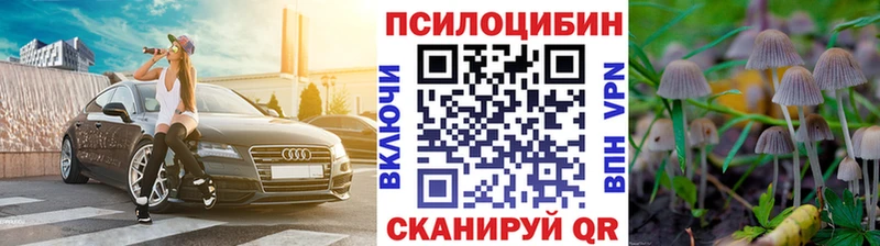 что такое наркотик  Павловская  Галлюциногенные грибы прущие грибы 