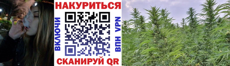 MEGA как войти  Павловская  Конопля Bruce Banner  наркотики 